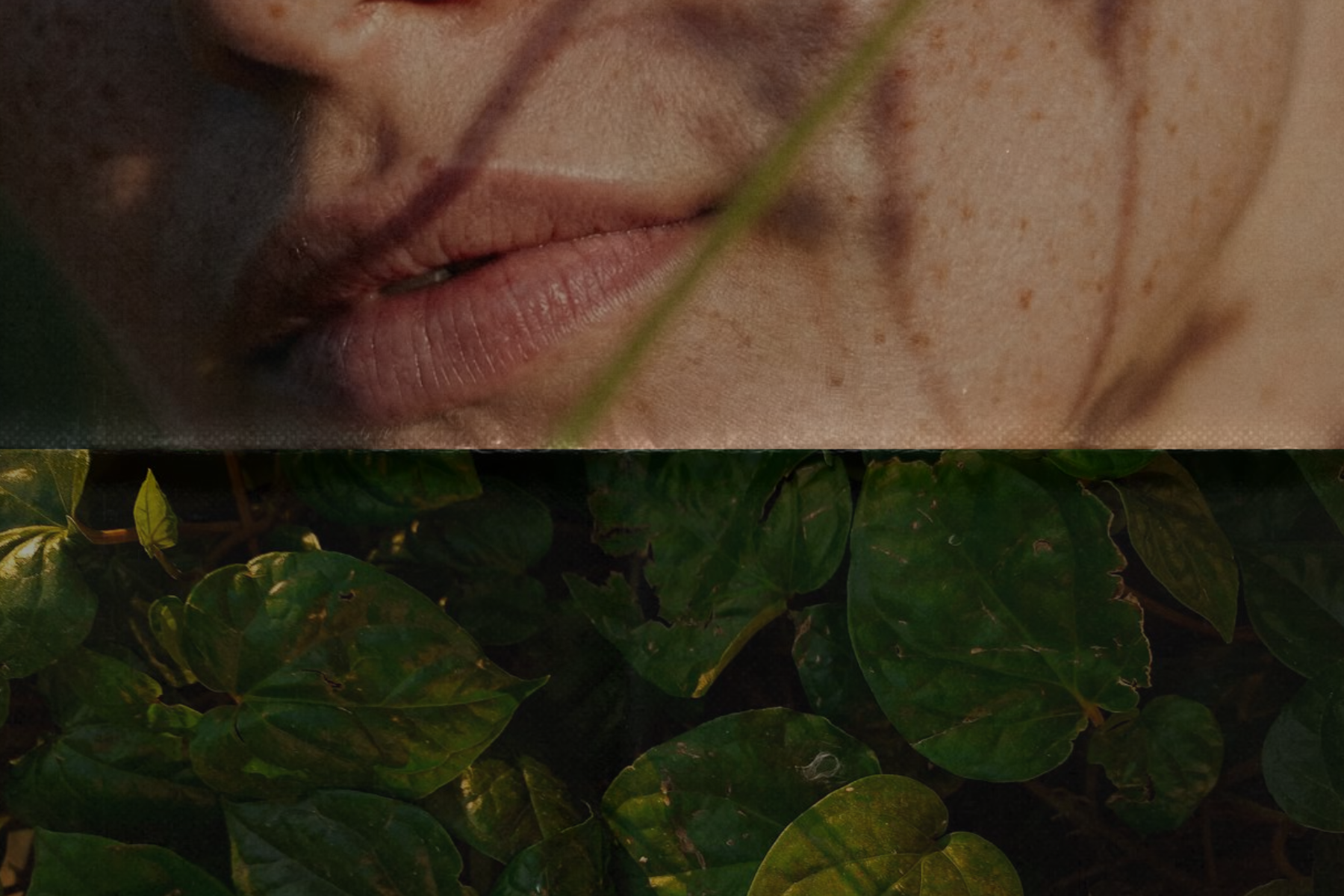 woman's lips and bottom part of the face and split screen foliage