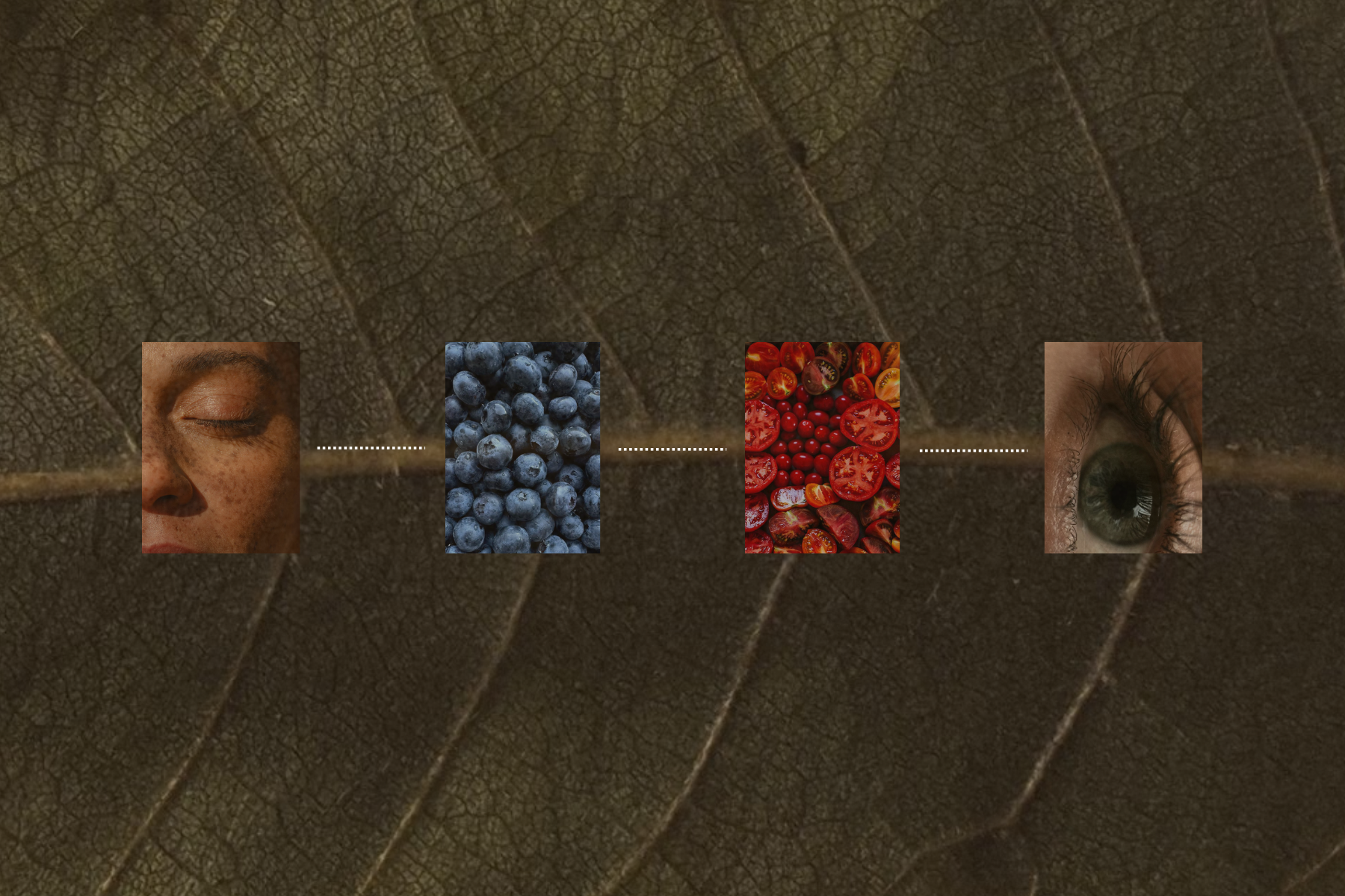 leaf background with photos on top