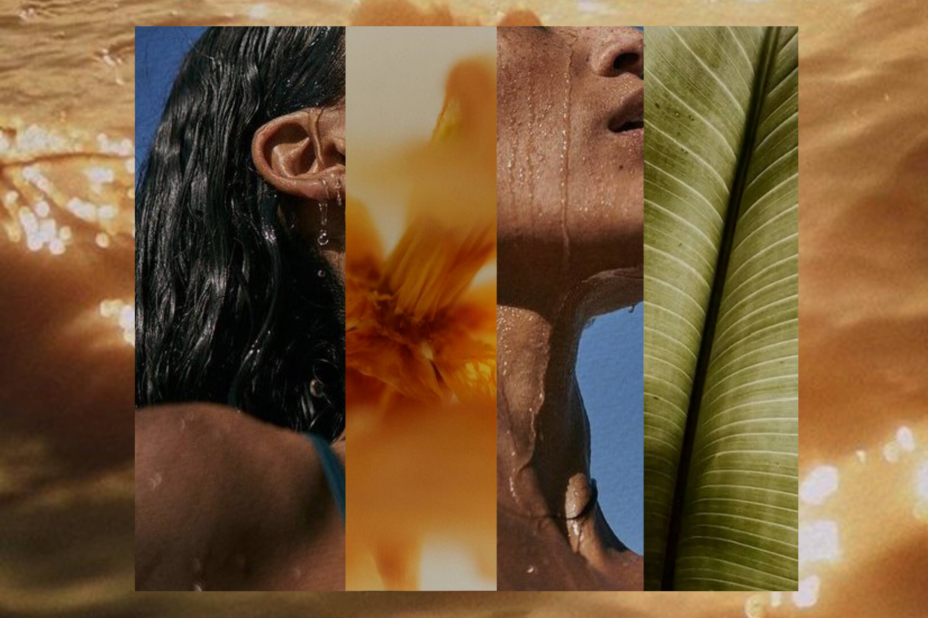 perimenopausal woman pictured in a collage of natural elements