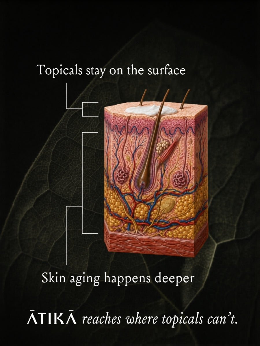 Diagram of skin layers with text about topical treatments and ATIKA's reach deeper into the skin.