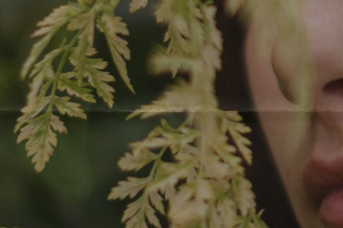 photo of a fern leaf with woman's face behind it