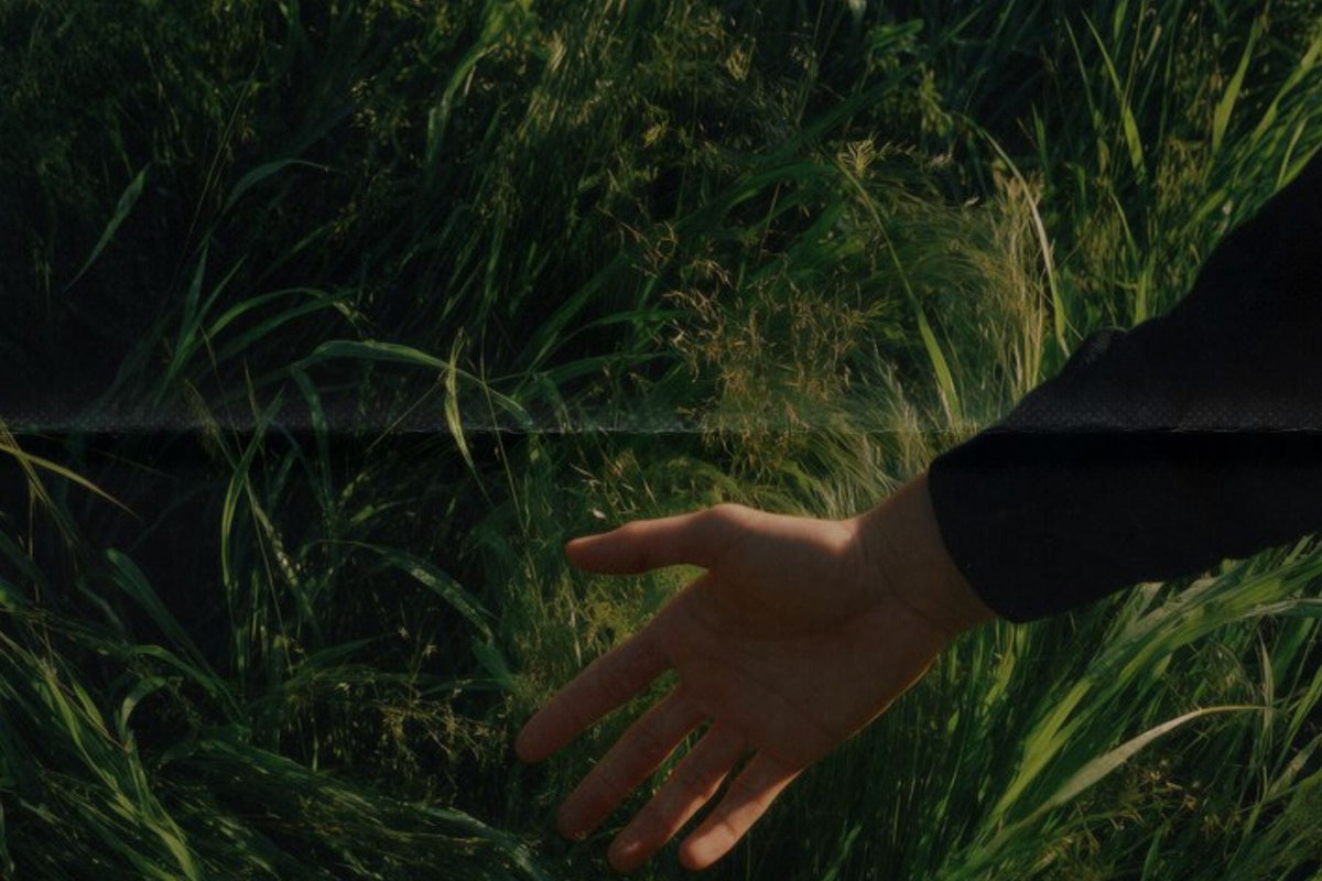photo of a hand in front of grass