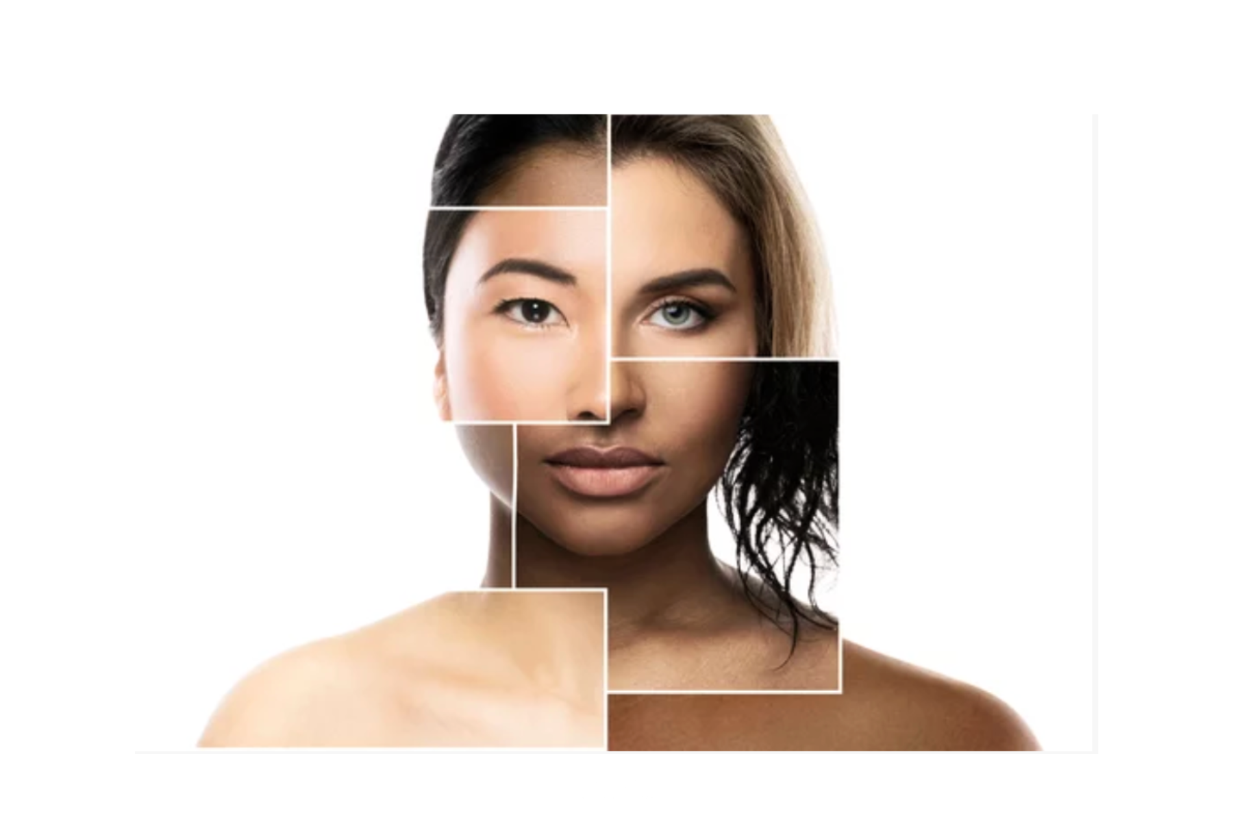 Composite segmented face showing different skin tones, textures, and aging patterns to illustrate how oxidative stress affects collagen, tone, and barrier lipids beneath the surface.