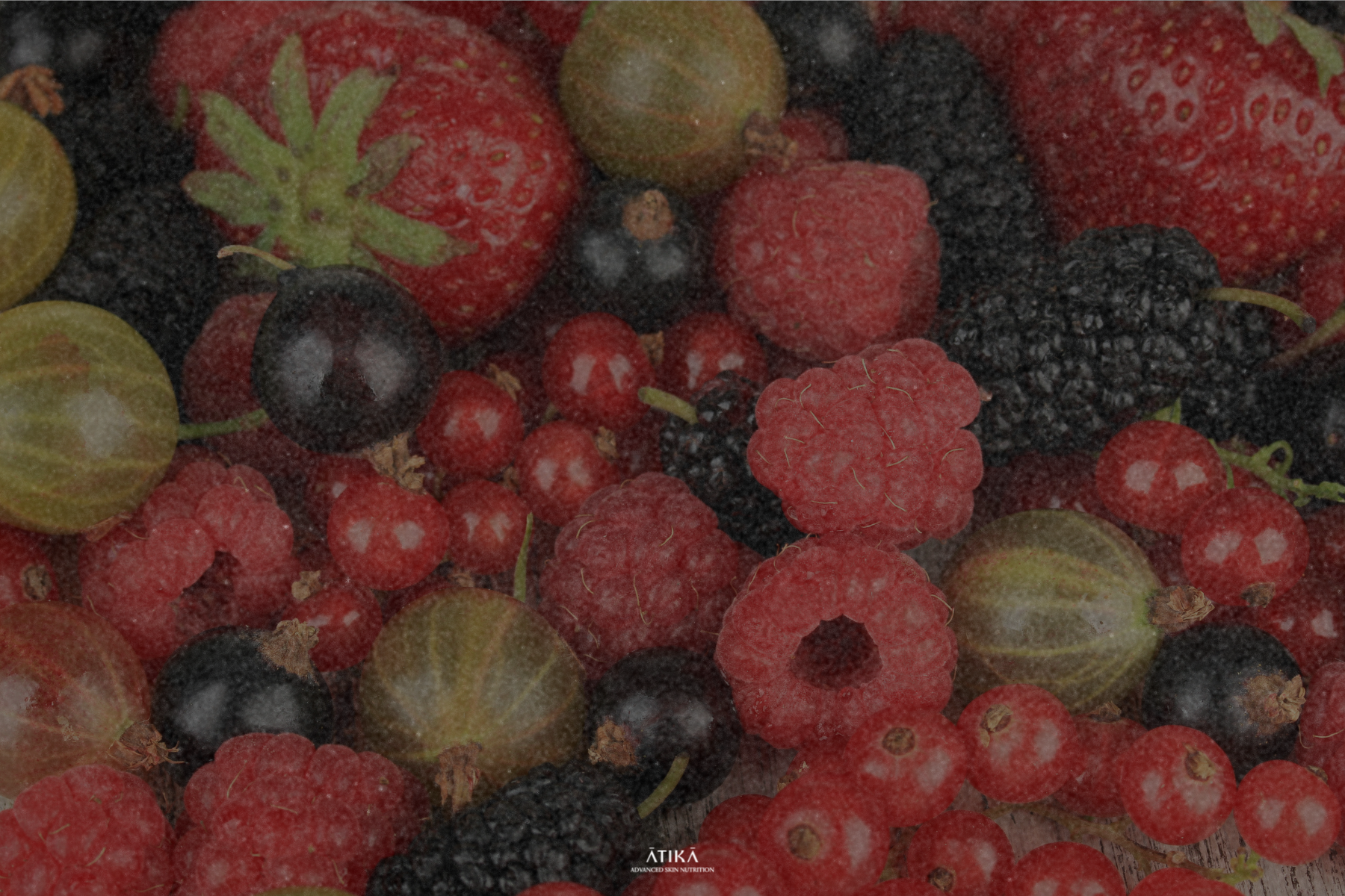 Mixed berries—raspberries, strawberries, blackberries, red currants, gooseberries, and blackcurrants—showing the natural sources of polyphenols used in nutritional dermatology.
