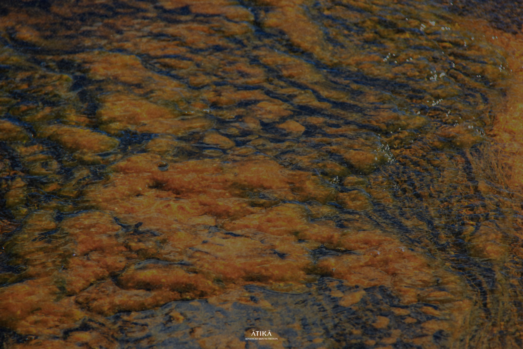 Close-up of rippling water over textured rock.