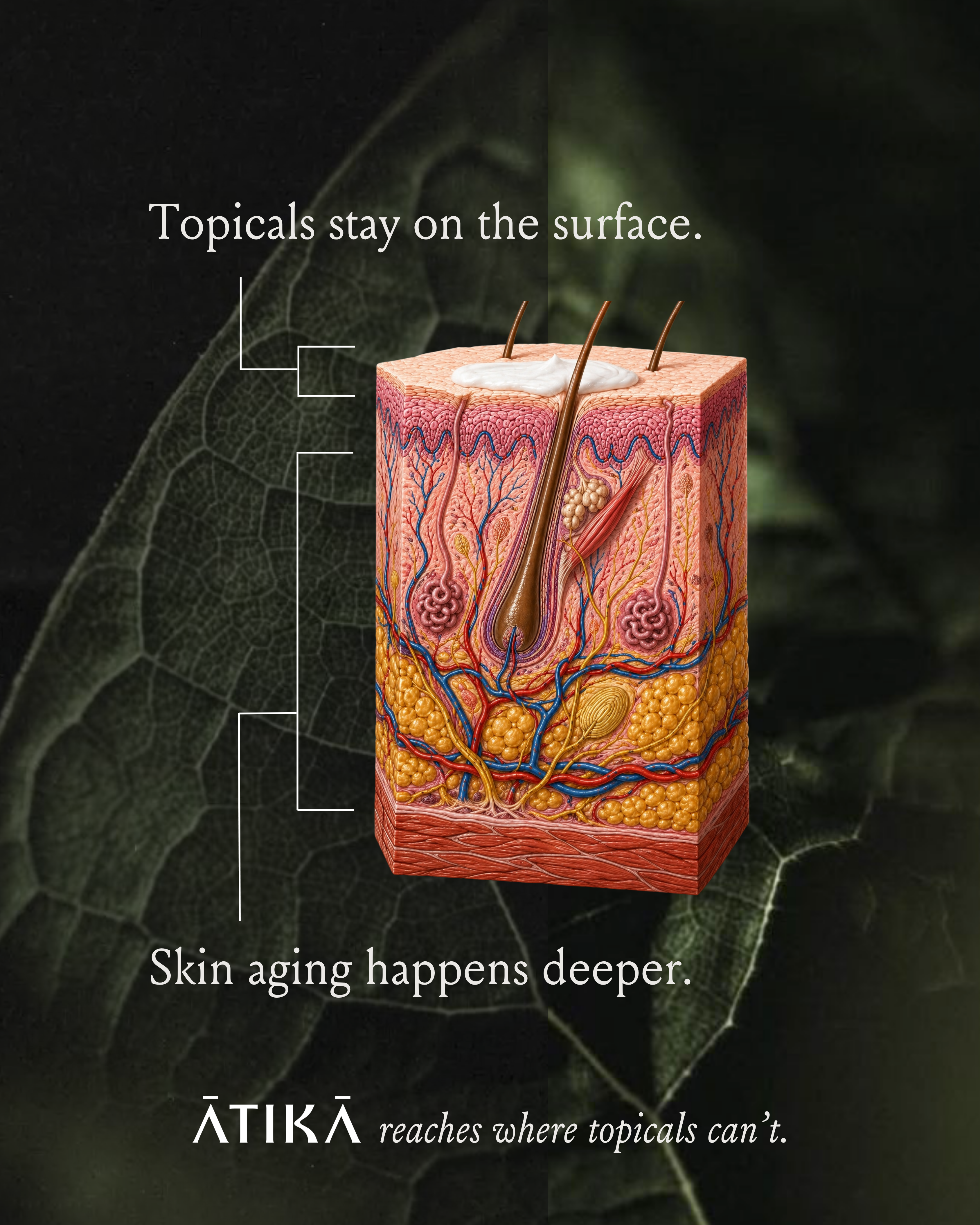 Advanced Skin Nutrition