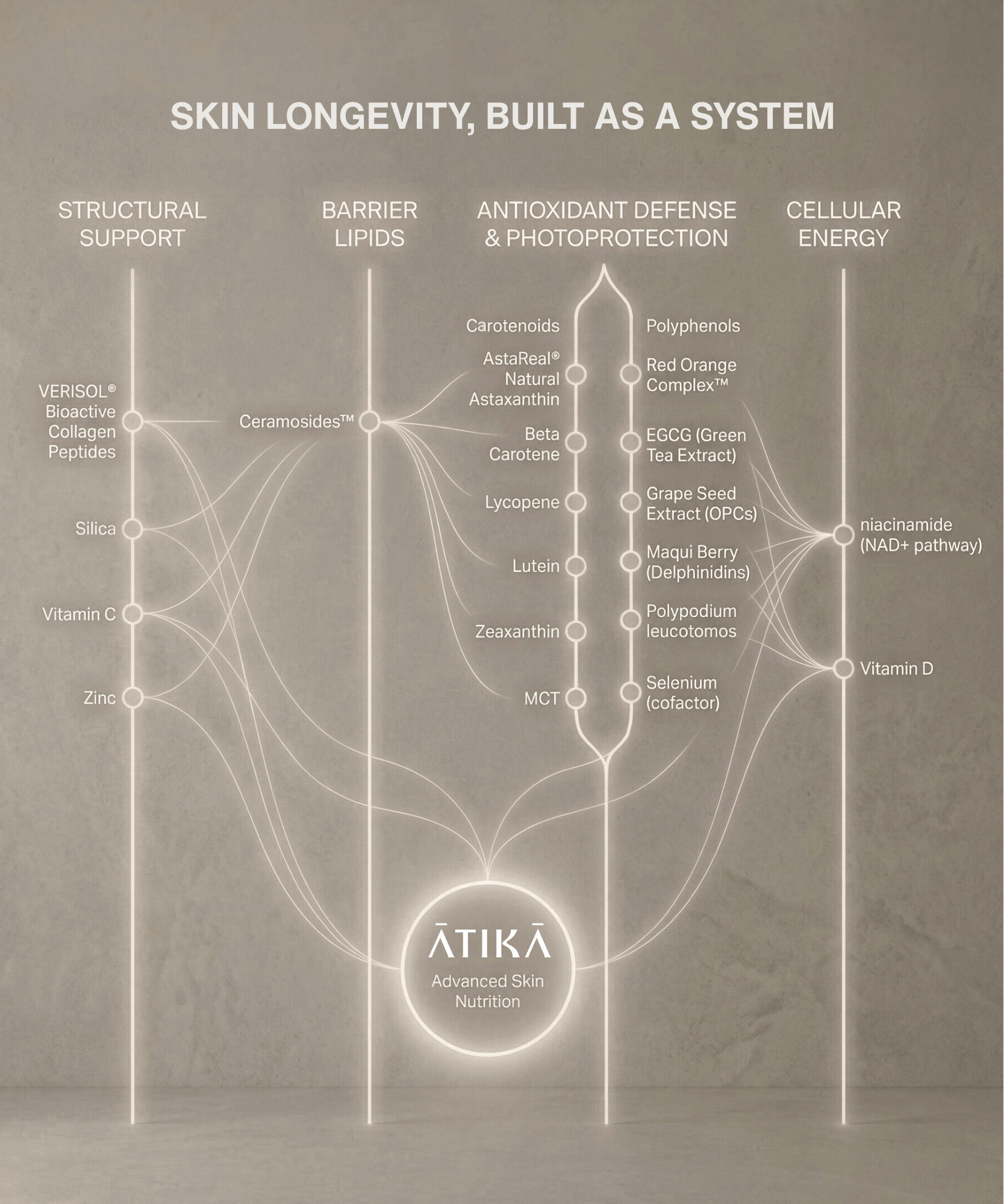 ATIKA Advanced Skin Nutrition — four-pillar diagram illustrating how the formula’s 18 clinically studied ingredients support every core pathway of skin health. Structural Support shows VERISOL collagen peptides, silica, vitamin C, and zinc. Barrier Lipids features Ceramosides phytoceramides. Antioxidant Defense & Photoprotection includes carotenoids (astaxanthin, beta-carotene, lycopene, lutein, zeaxanthin), Red Orange Complex, EGCG, grape-seed extract, maqui berry, polypodium leucotomos, selenium, and MCT